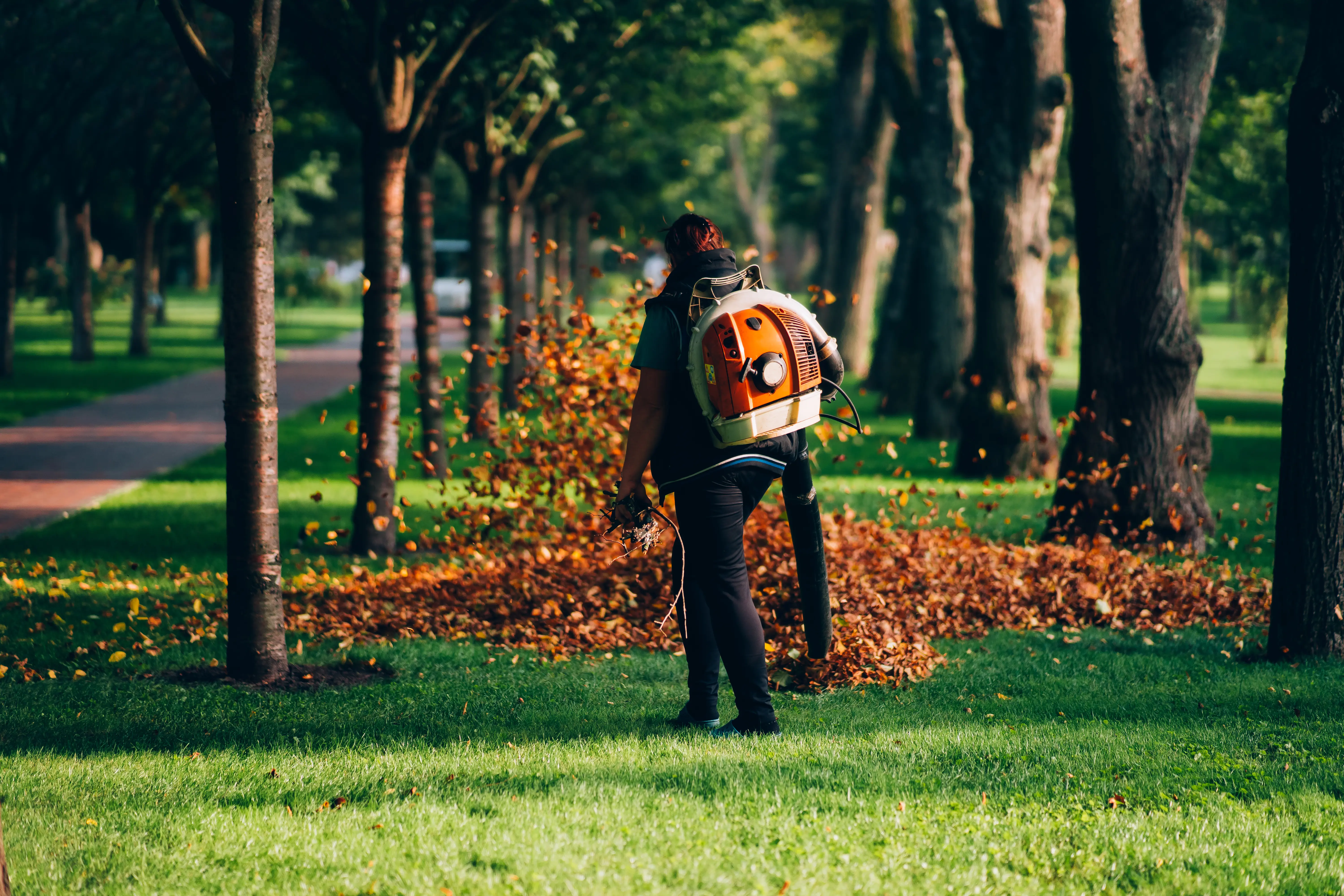 Seasonal cleanup service